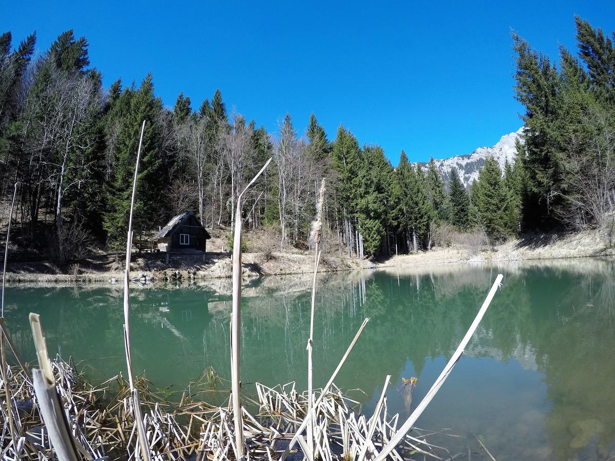 Karami Mountainhouse Bed and Breakfast Tržič Εξωτερικό φωτογραφία